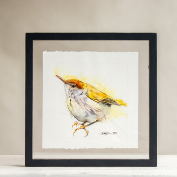 Wren Golden Watercolor | 12x12