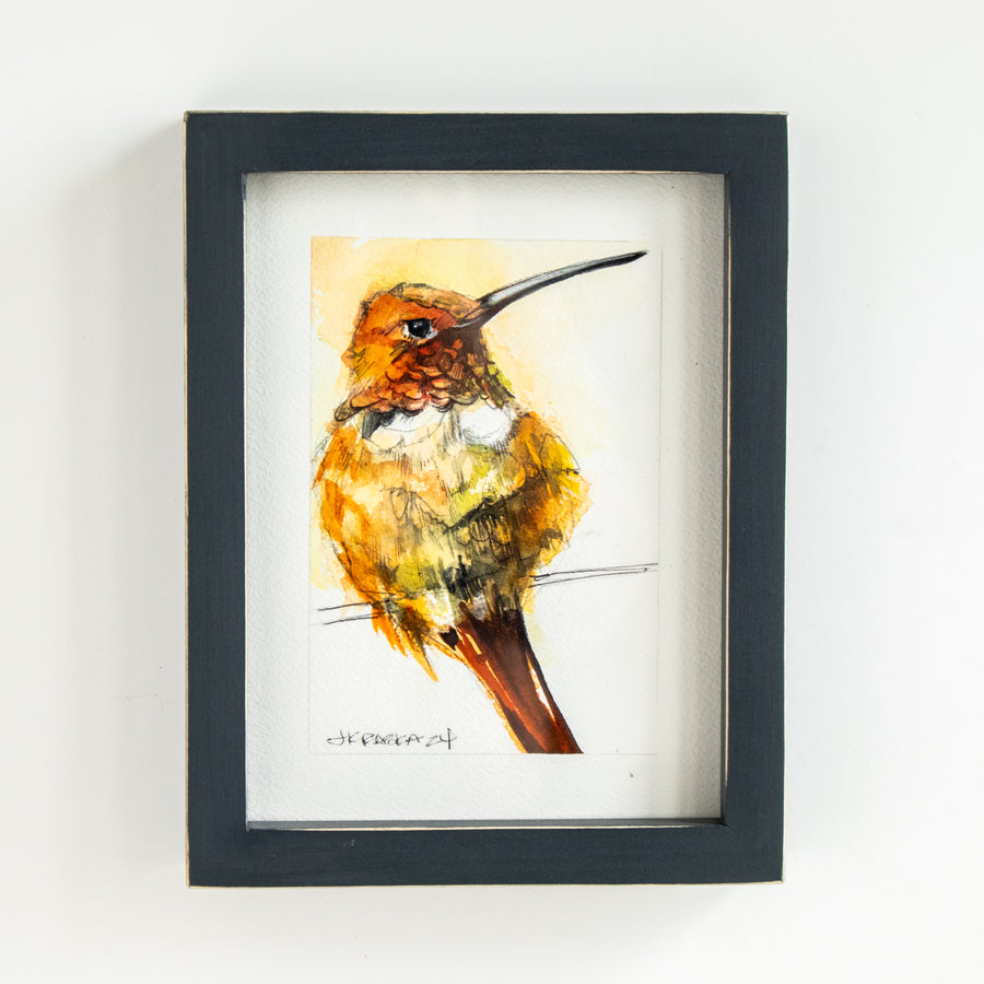 Rufous Hummingbird | 7x9
