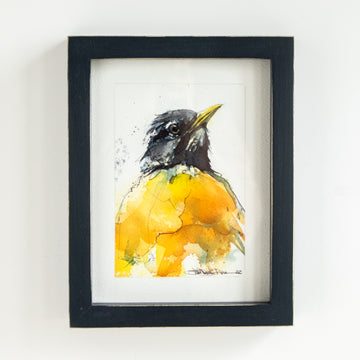 Robin Profile no. 2 | 7x9