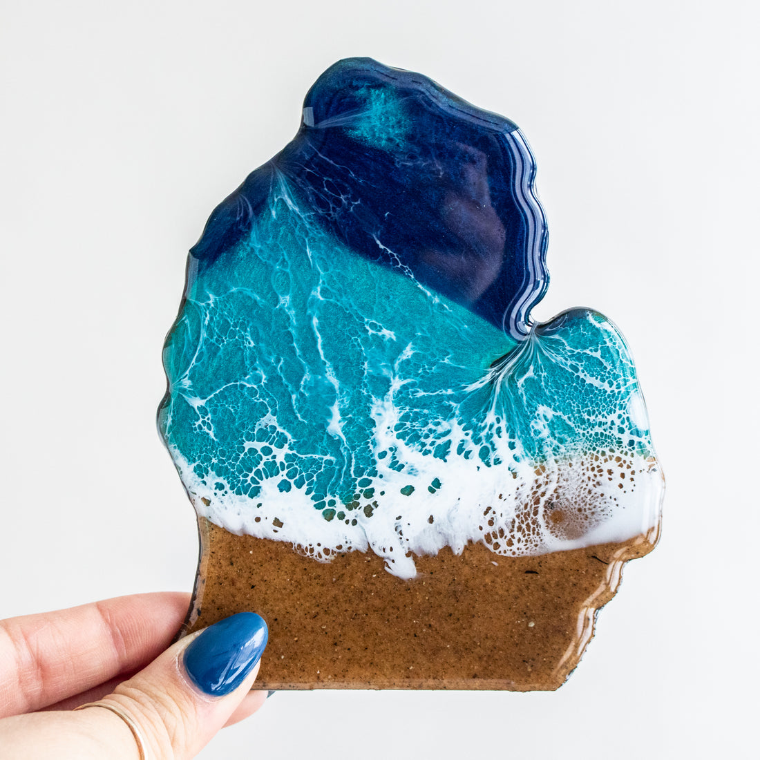 Michigan Beach Coaster