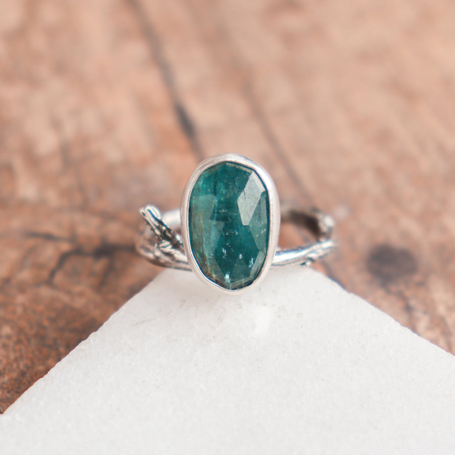 Size 9 | Kyanite Branch Ring