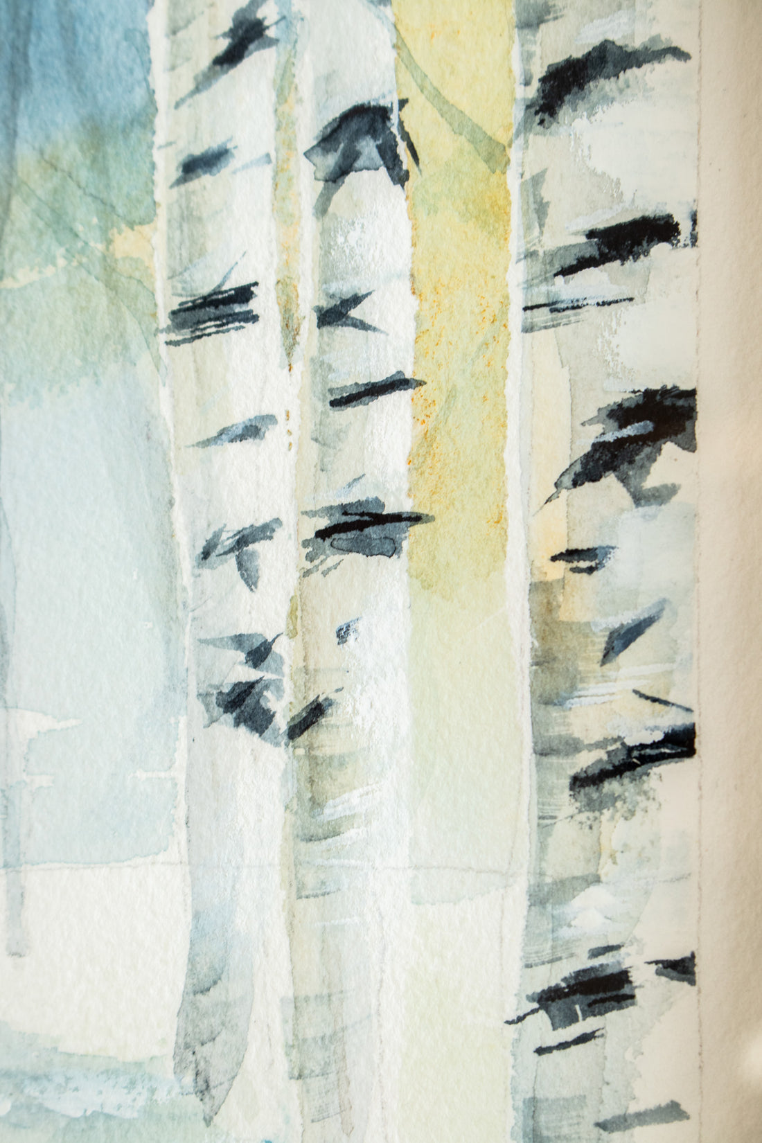 Snowy Birches no.4 | 7x9