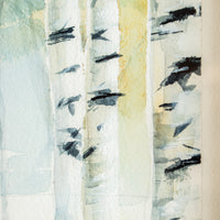Snowy Birches no.4 | 7x9
