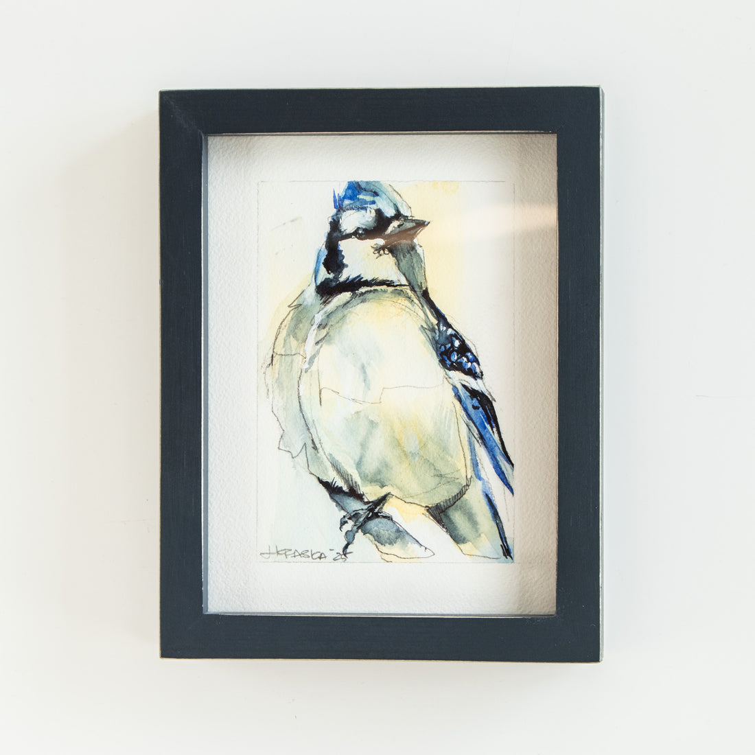 Blue Jay | 7x9 - The Artisan's Bench
