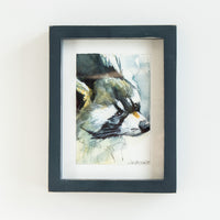 Raccoon | 7x9