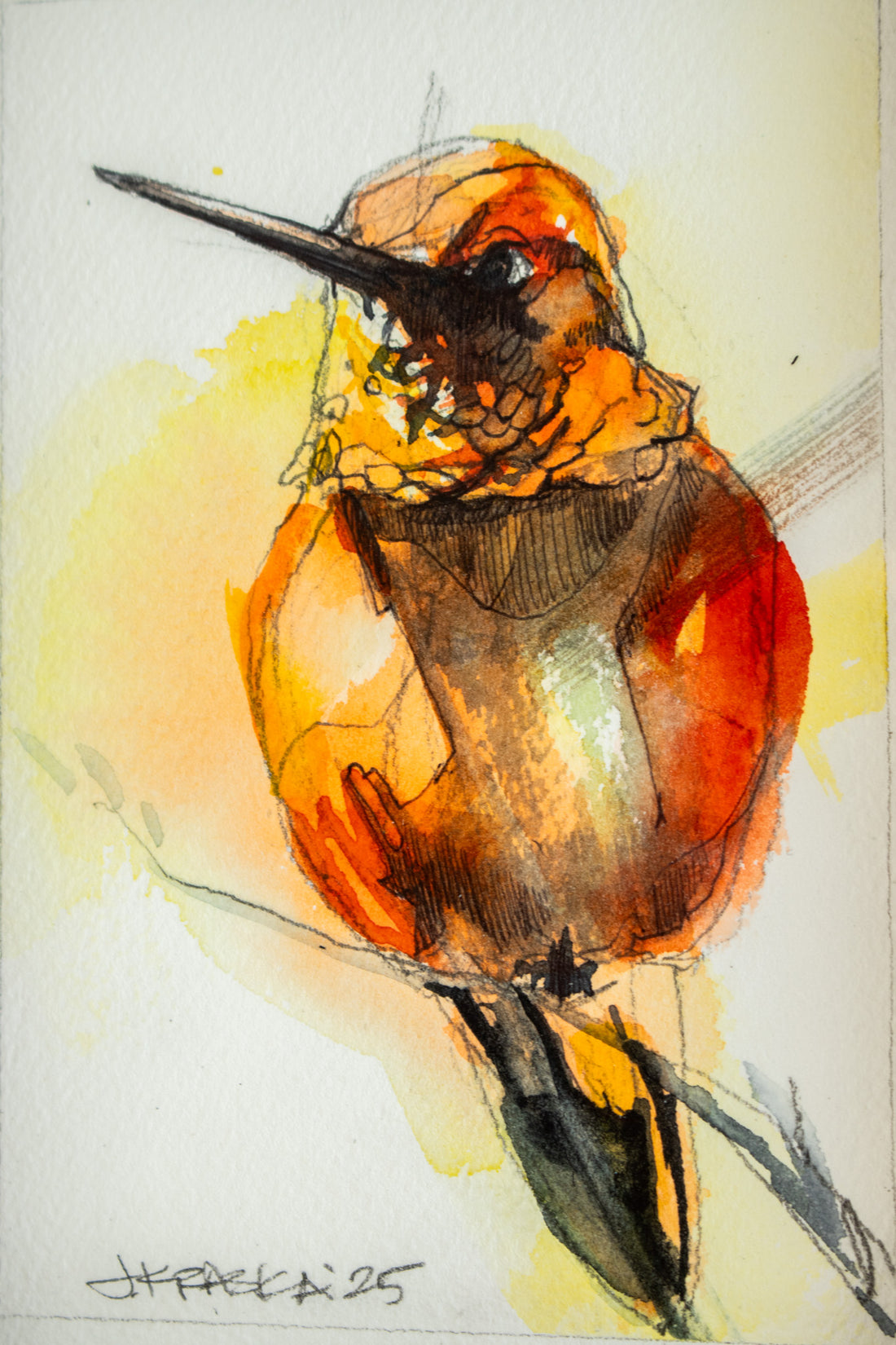 Rufous Hummingbird no.2 | 7x9