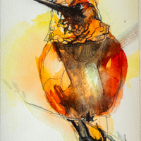 Rufous Hummingbird no.2 | 7x9