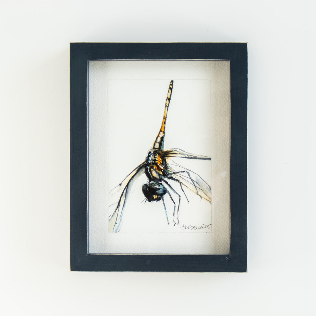 Dragonfly | 7x9