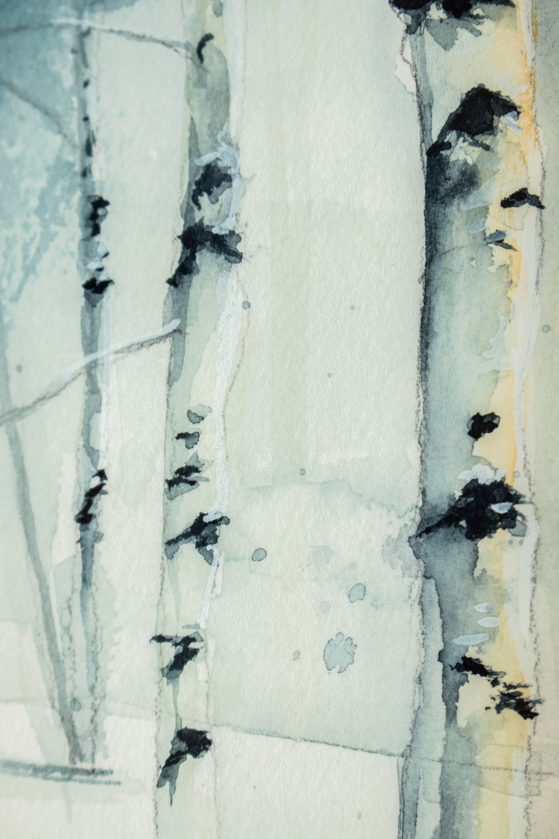 Snowy Birches no.3 | 7x9