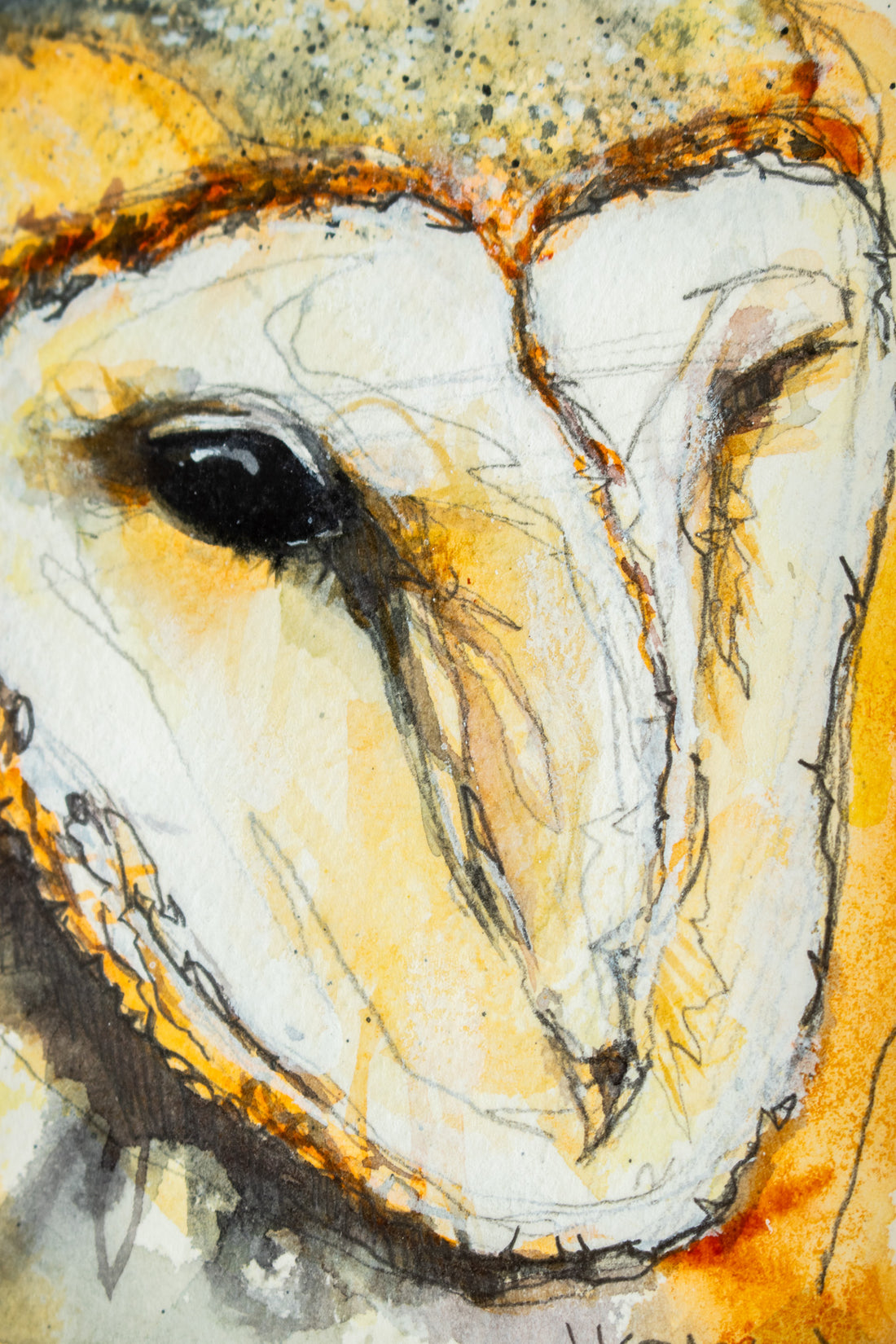 Barn Owl no.4 | 7x9