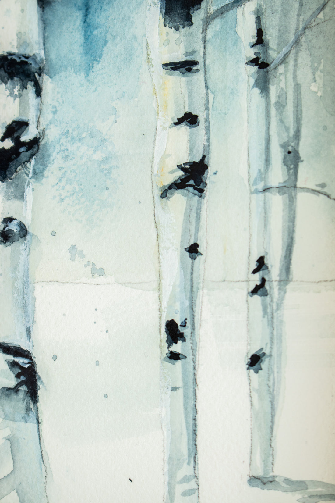 Snowy Birches no.6 | 7x9