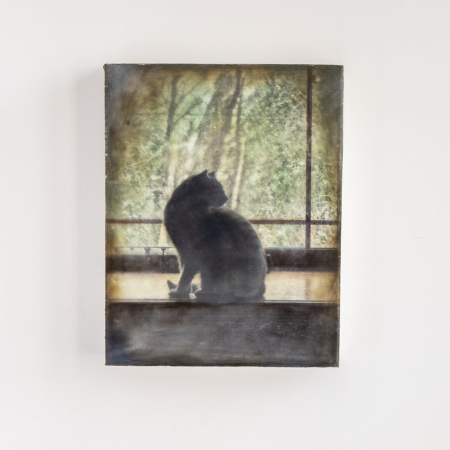 Cat Silhouette/Window | 6x8 Encaustic