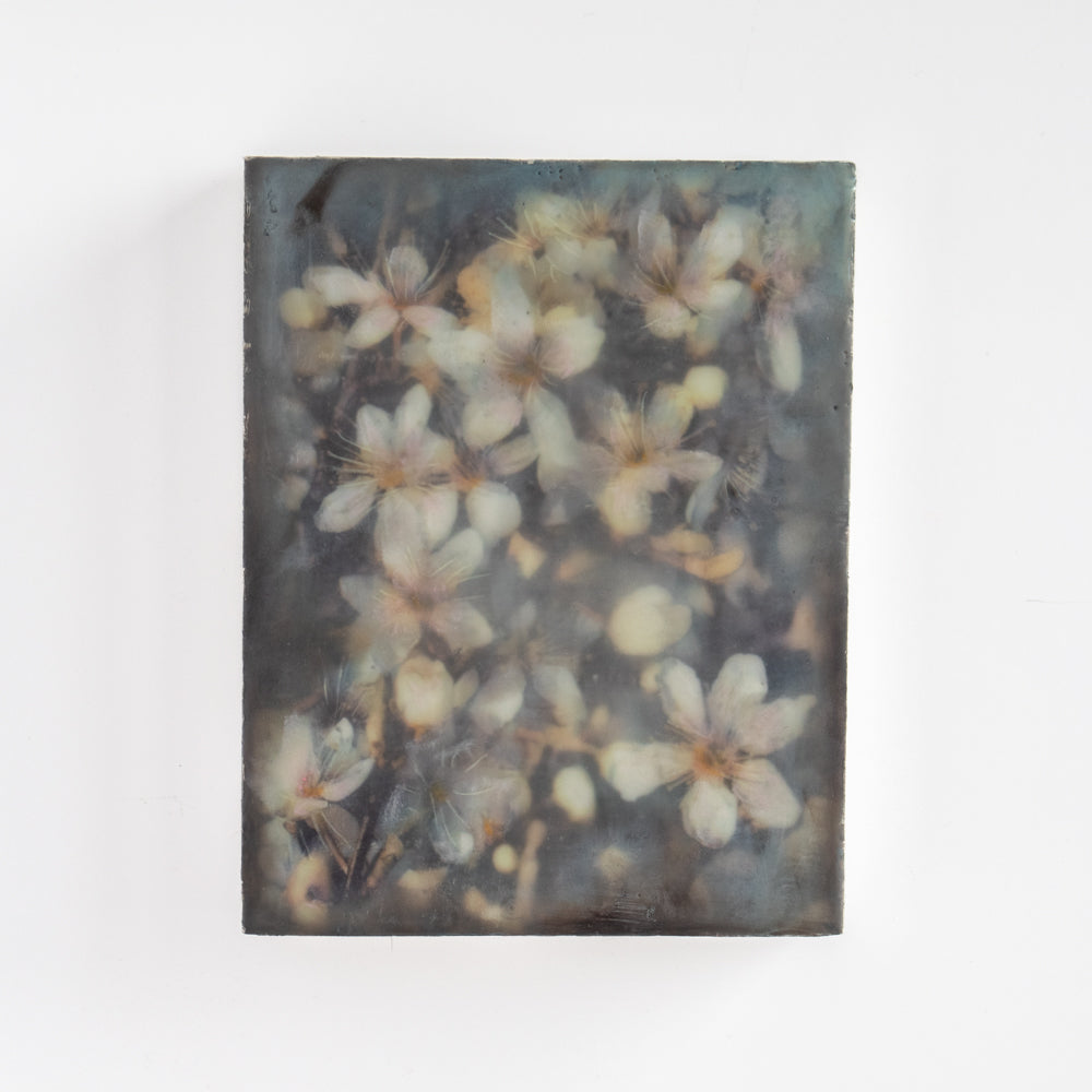 Blossoms | 6x8 Encaustic
