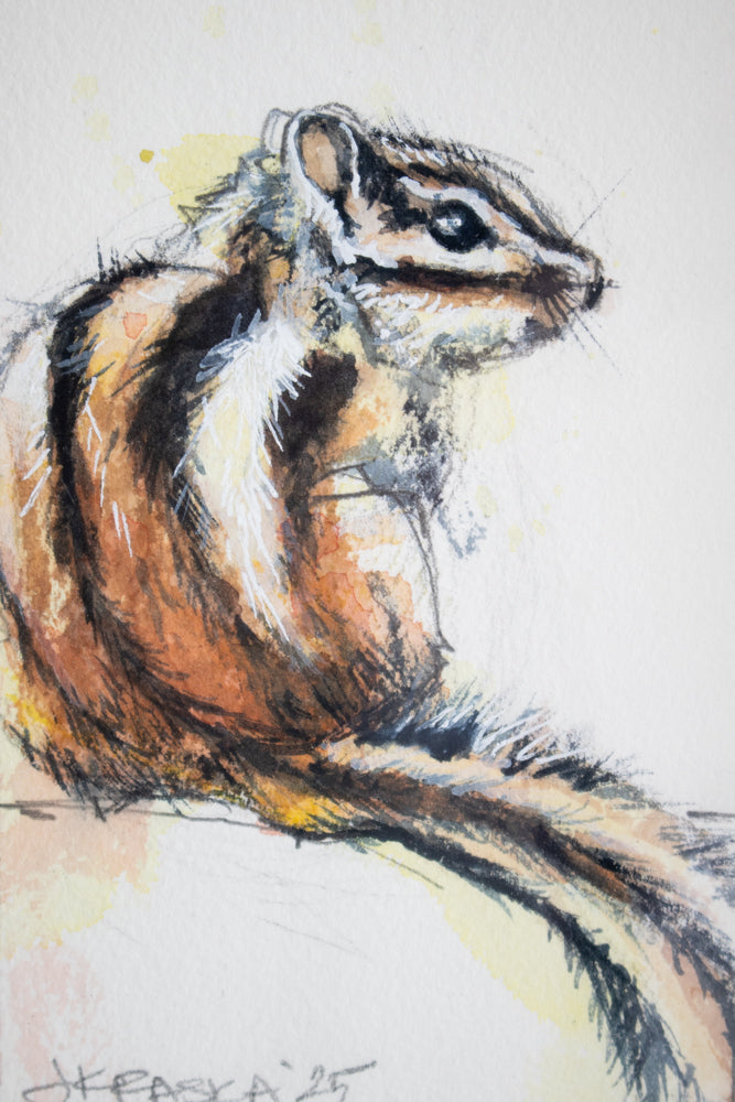 Chipmunk | 7x9