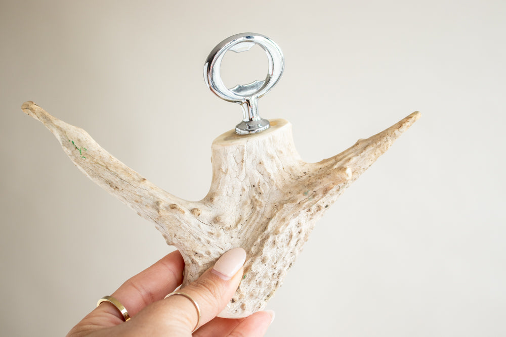 Antler Bottle Opener