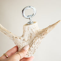 Antler Bottle Opener