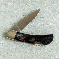 3" Petoskey Malachite Lockback Knife