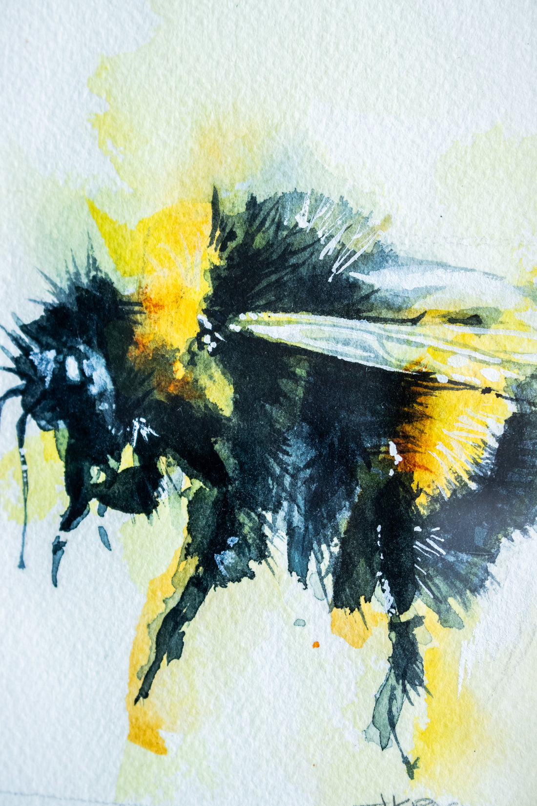 Bumblebee no.2 | 7x9
