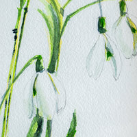 Snowdrops no.4 | 7x9