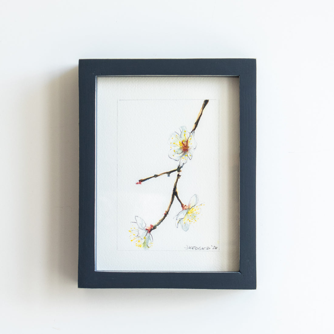 White Cherry Blossoms | 7x9