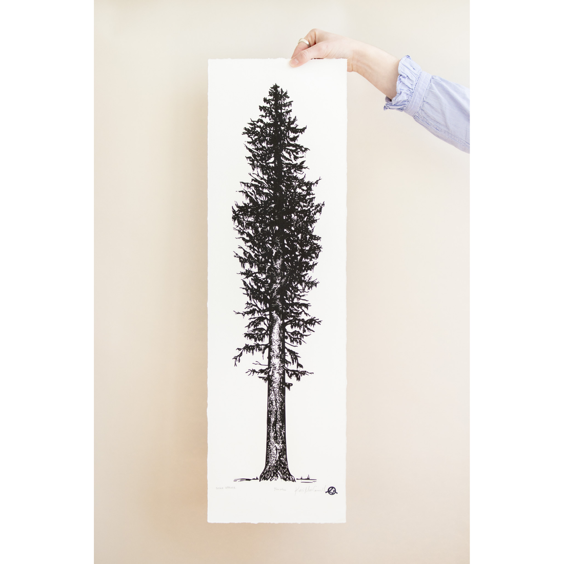 Sitka Spruce | 9x30 | Woodblock Print