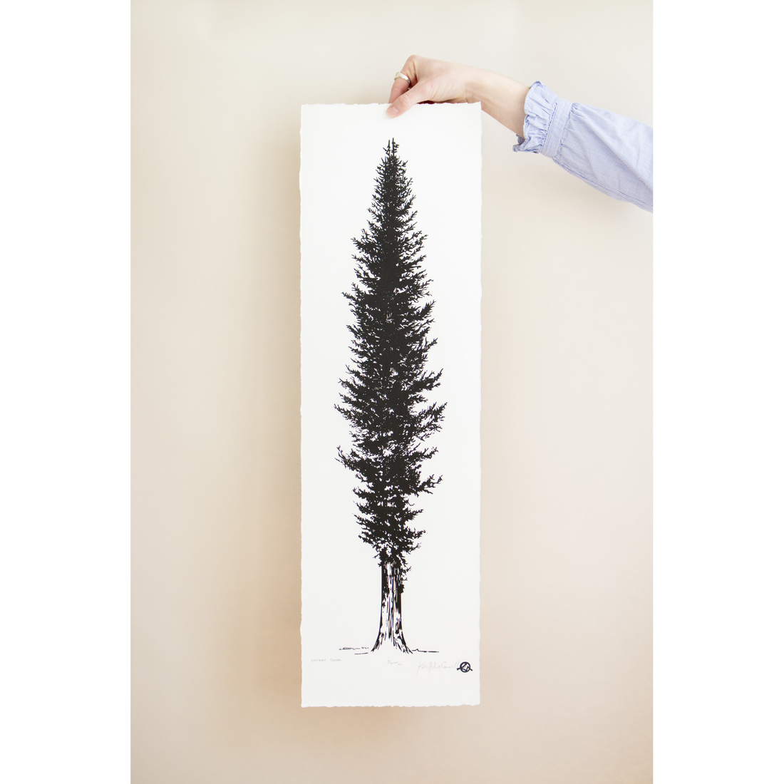 Western Cedar | 9x30 | Woodblock Print