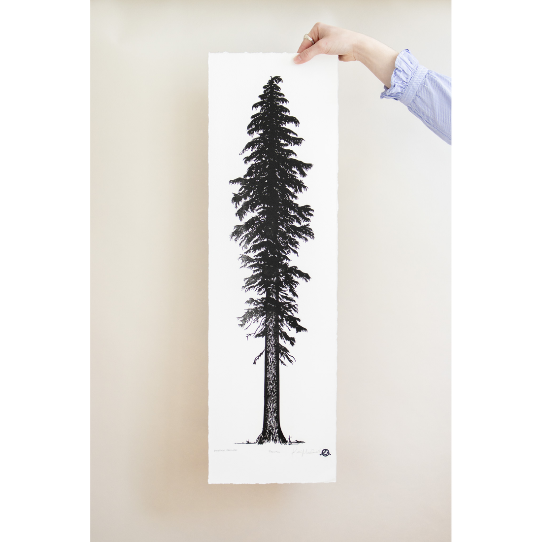 Mountain Hemlock | 9x30 | Woodblock Print