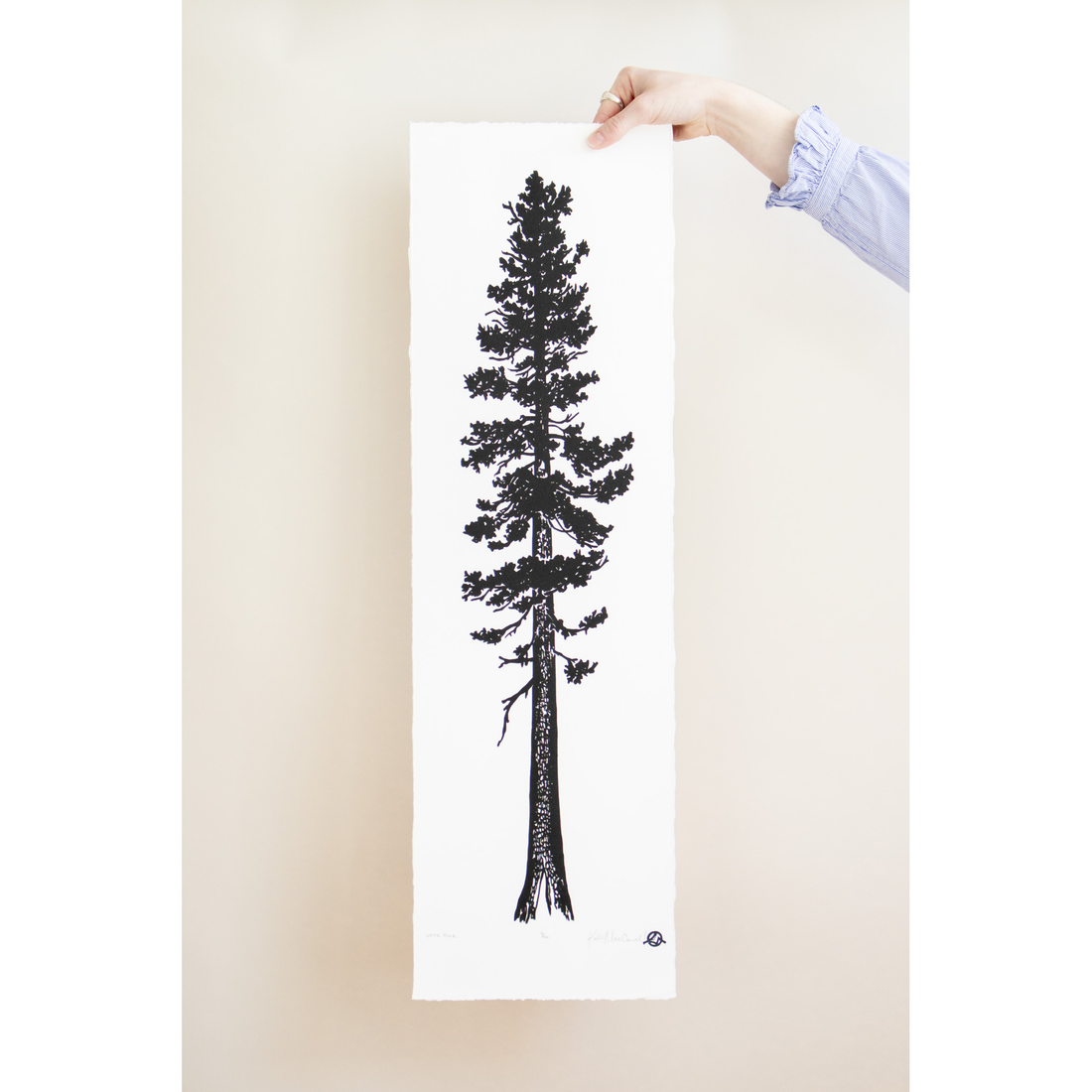 White Pine | 9x30 | Woodblock Print