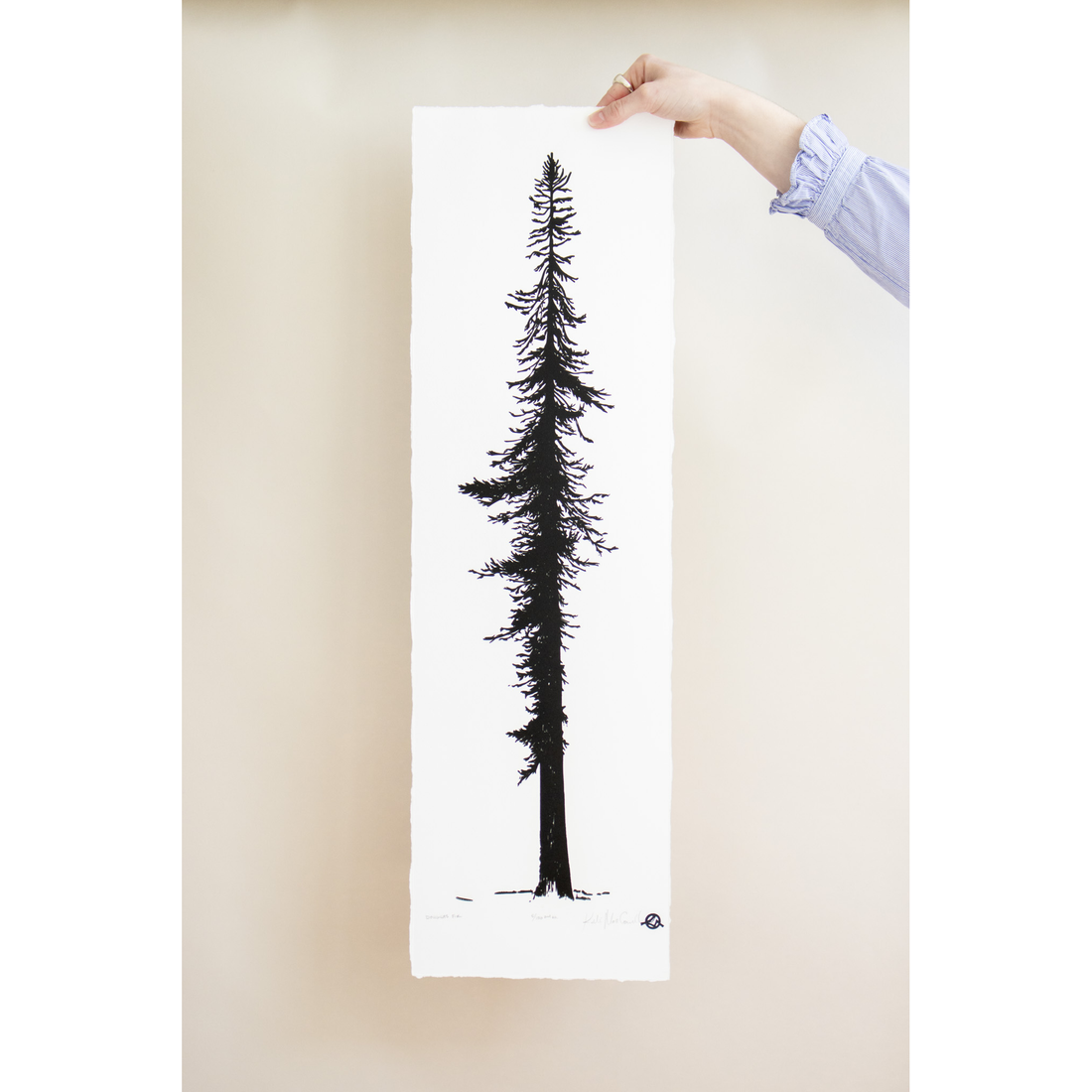 Douglas Fir | 9x30 | Woodblock Print