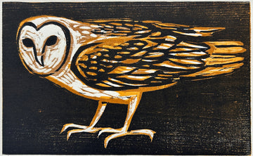 Barn Owl #2 11x14 | Woodblock Prints