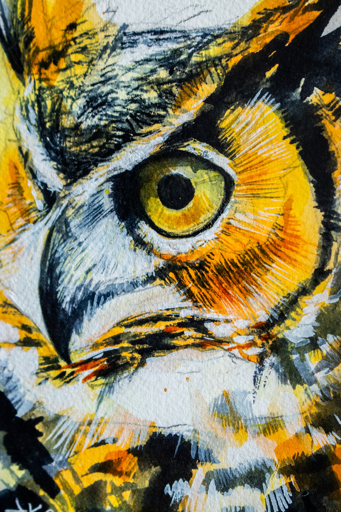 Great Horned Owl no.7 | 7x9
