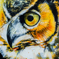Great Horned Owl no.7 | 7x9