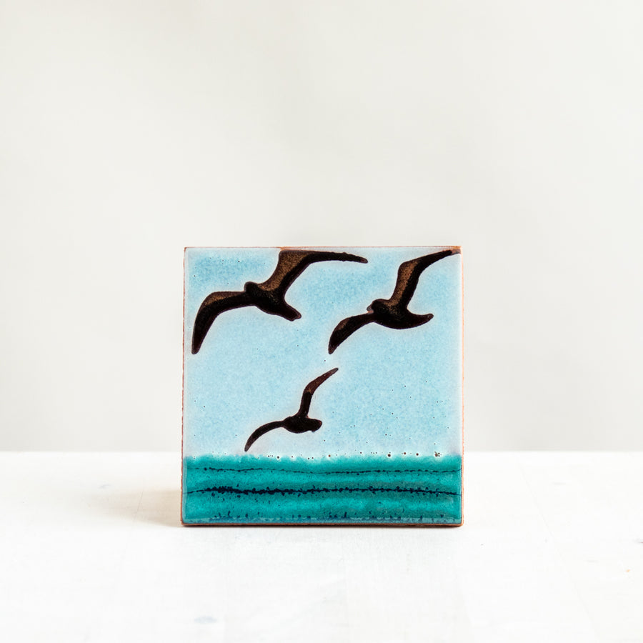 4x4 Seagulls