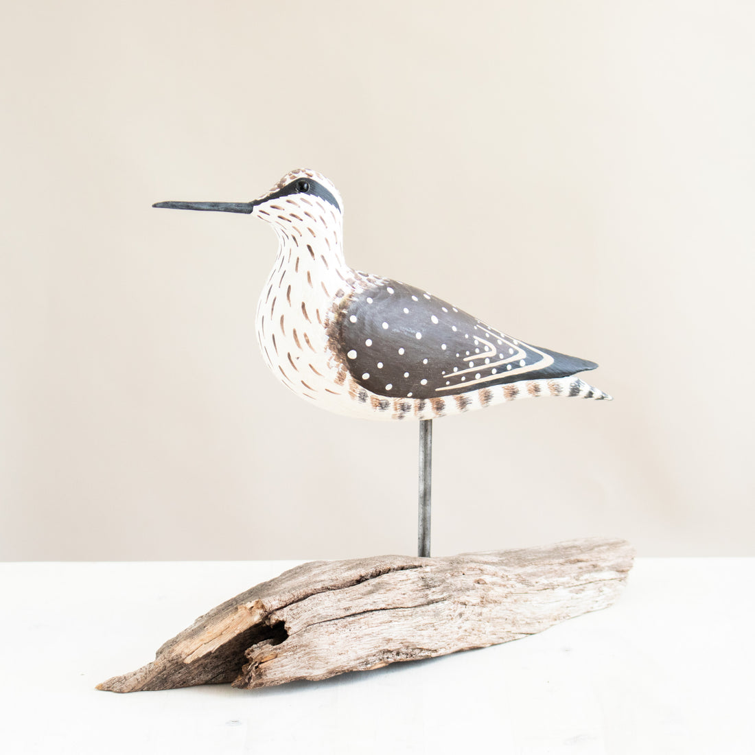 Yellowlegs Shorebird | Driftwood