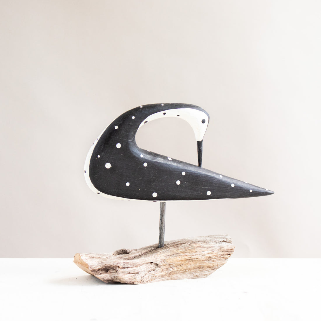 Preening Shorebird | Driftwood