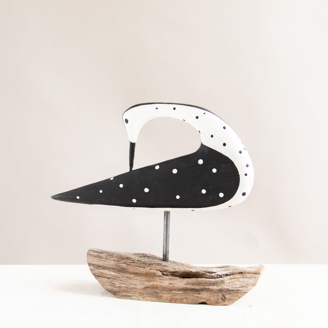 Preening Shorebird | Driftwood