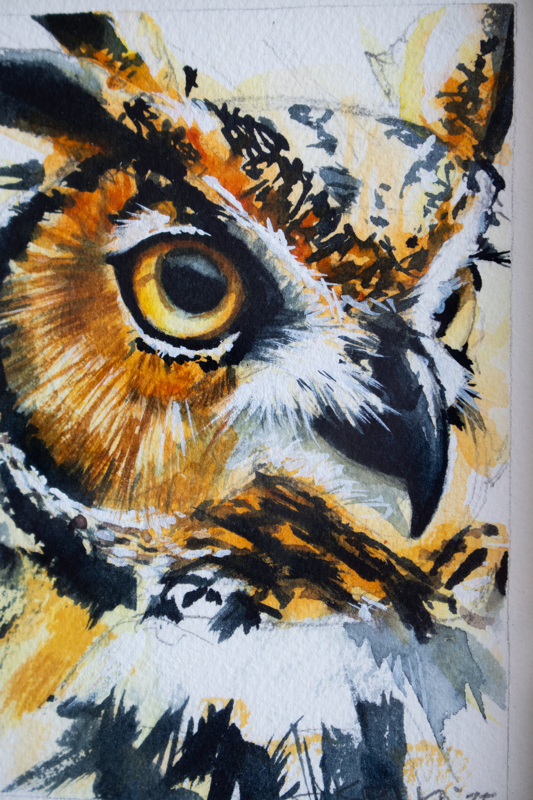 Great Horned Owl no.2 | 7x9