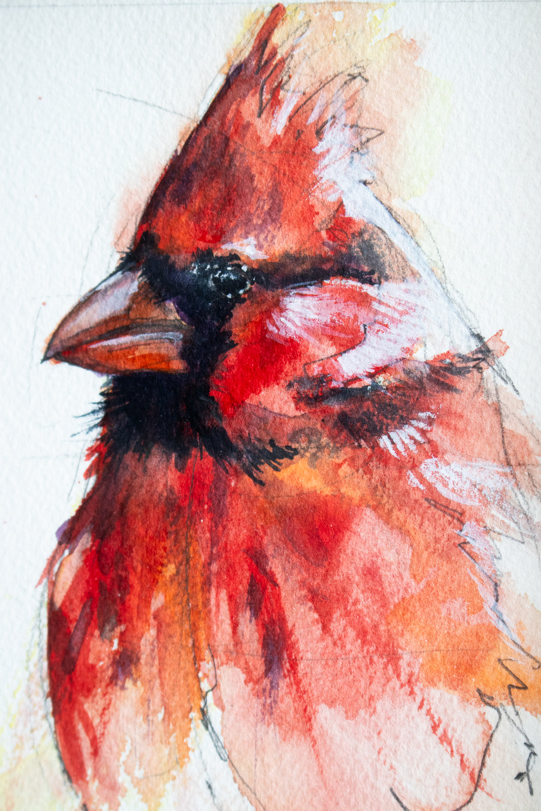 Male Cardinal | 7x9