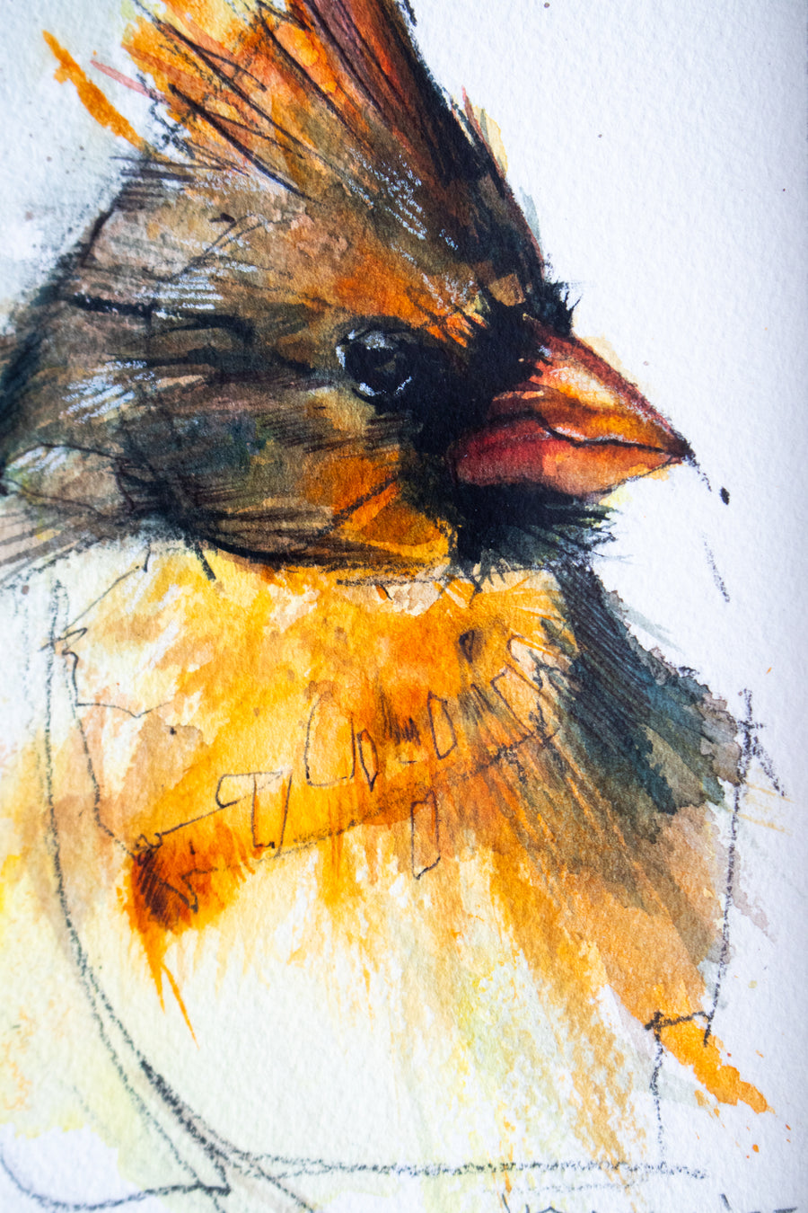 Female Cardinal | 7x9