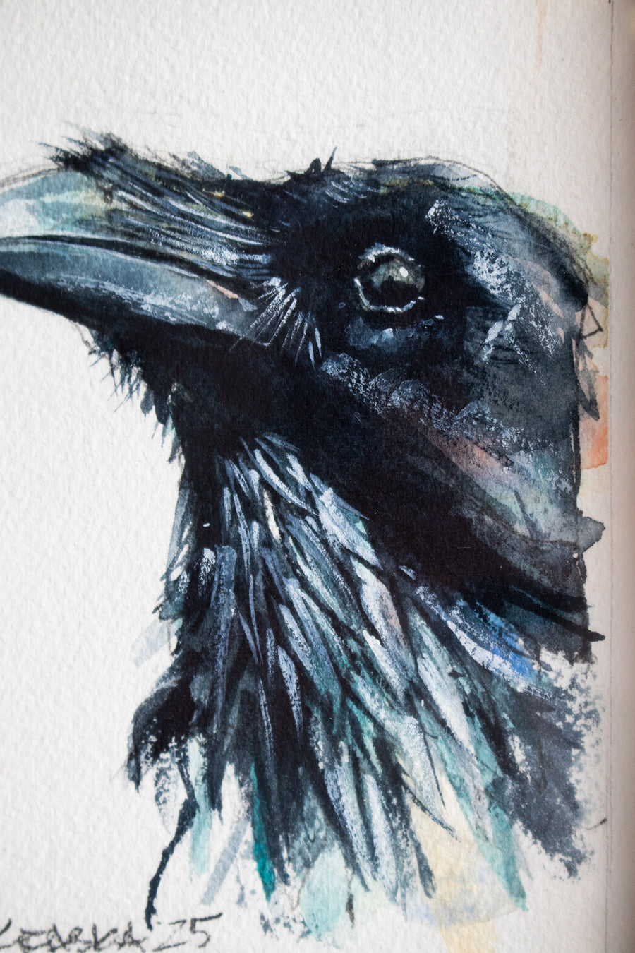 Raven | 7x9