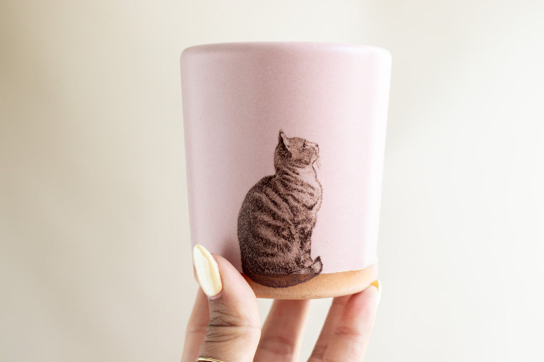 Cat Tumbler | Rose