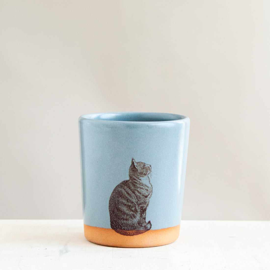Cat Tumbler | Blue