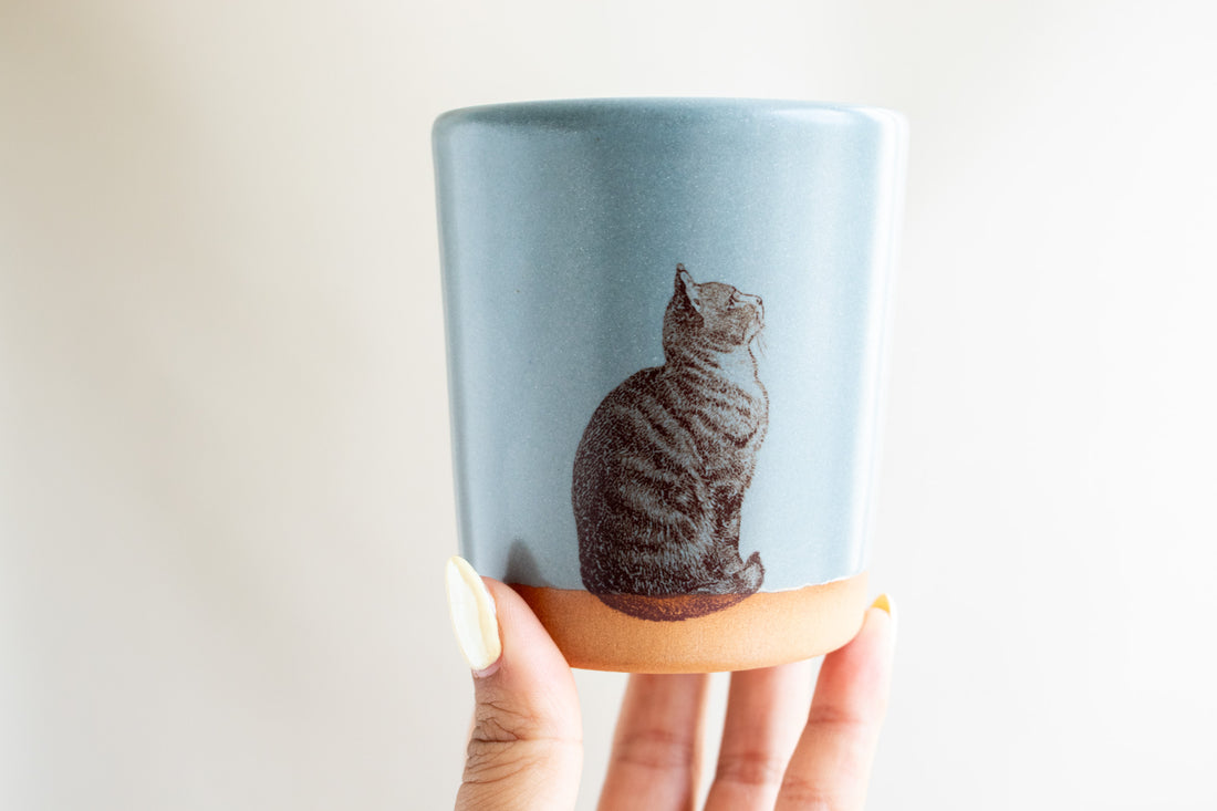 Cat Tumbler | Blue
