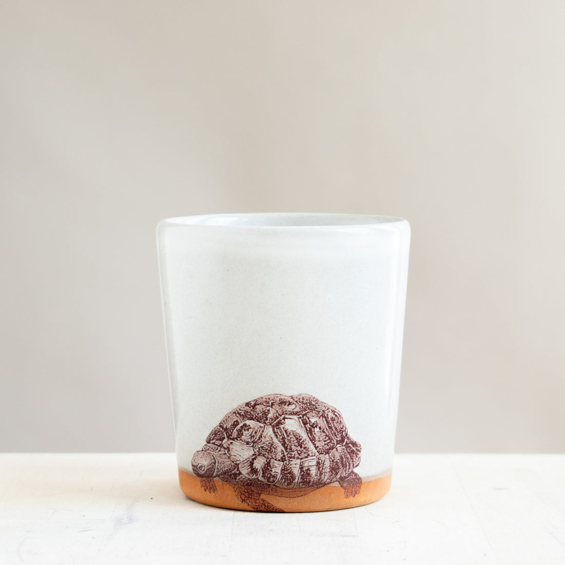 Turtle Tumbler | Cream