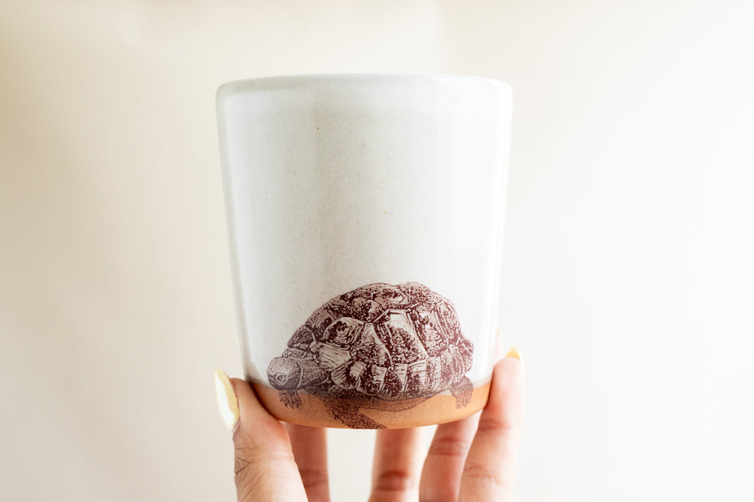 Turtle Tumbler | Cream