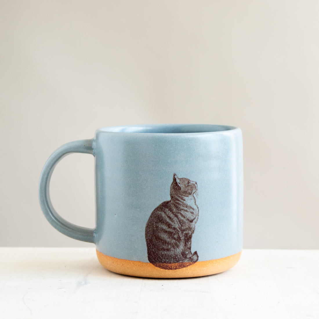 Cat Mug | Blue