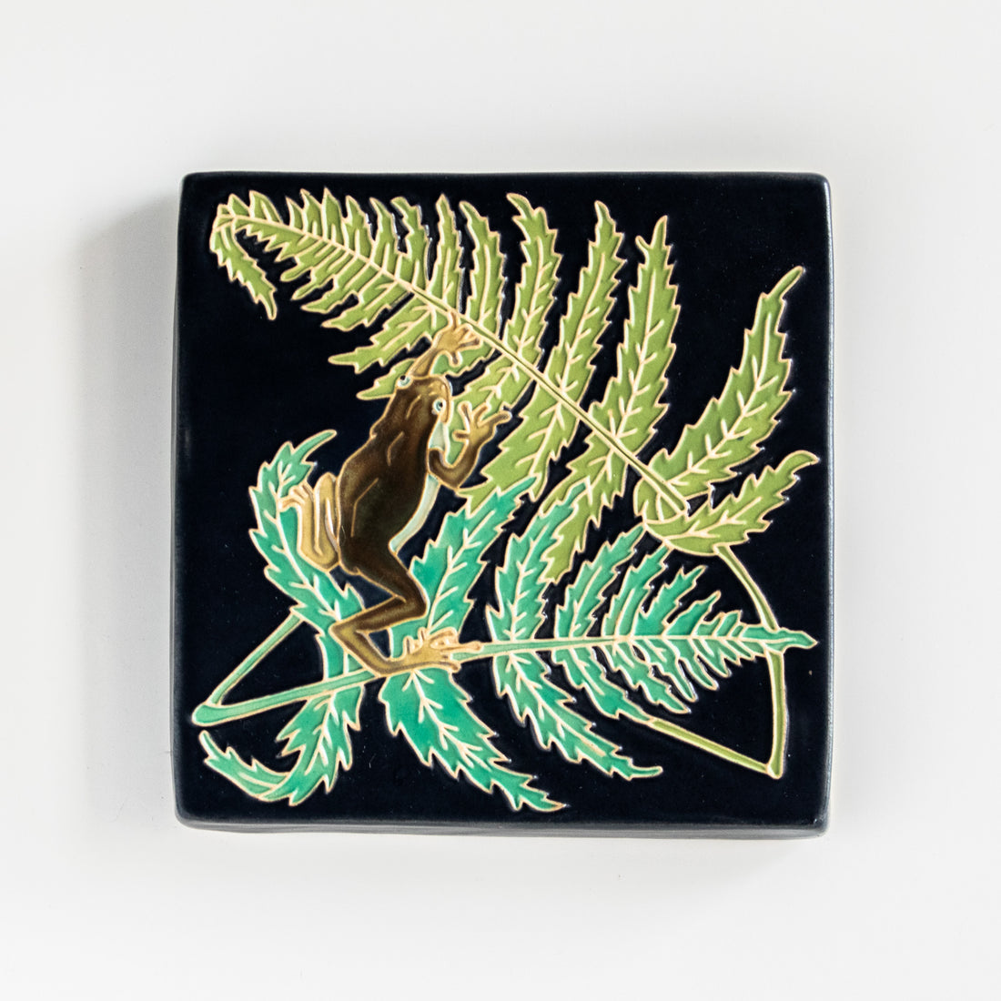 Frog & Fern | Black | 5x5