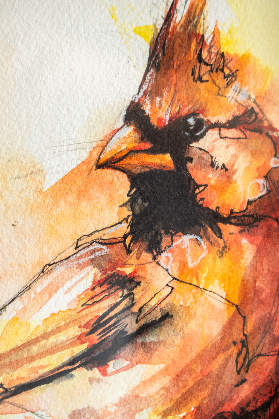 Male Cardinal no.2 | 7x9