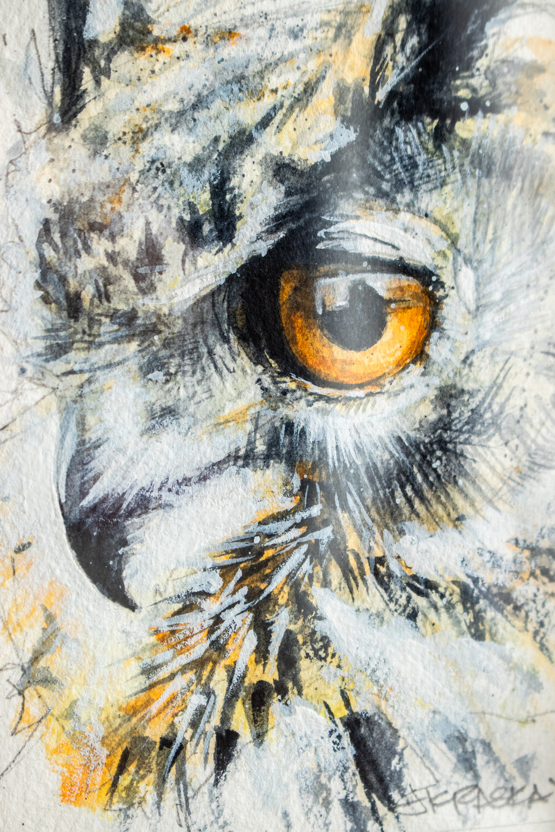 Great Horned Owl no.5 | 7x9