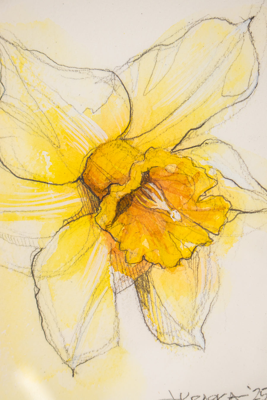 Daffodil Watercolor | 7x9
